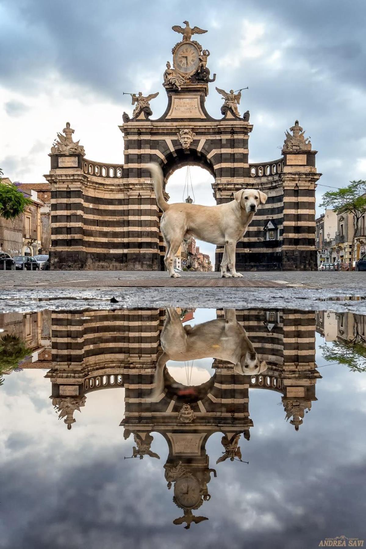 Garibaldi 94- Intera Casa A 2 Passi Dal Duomo Catânia Exterior foto